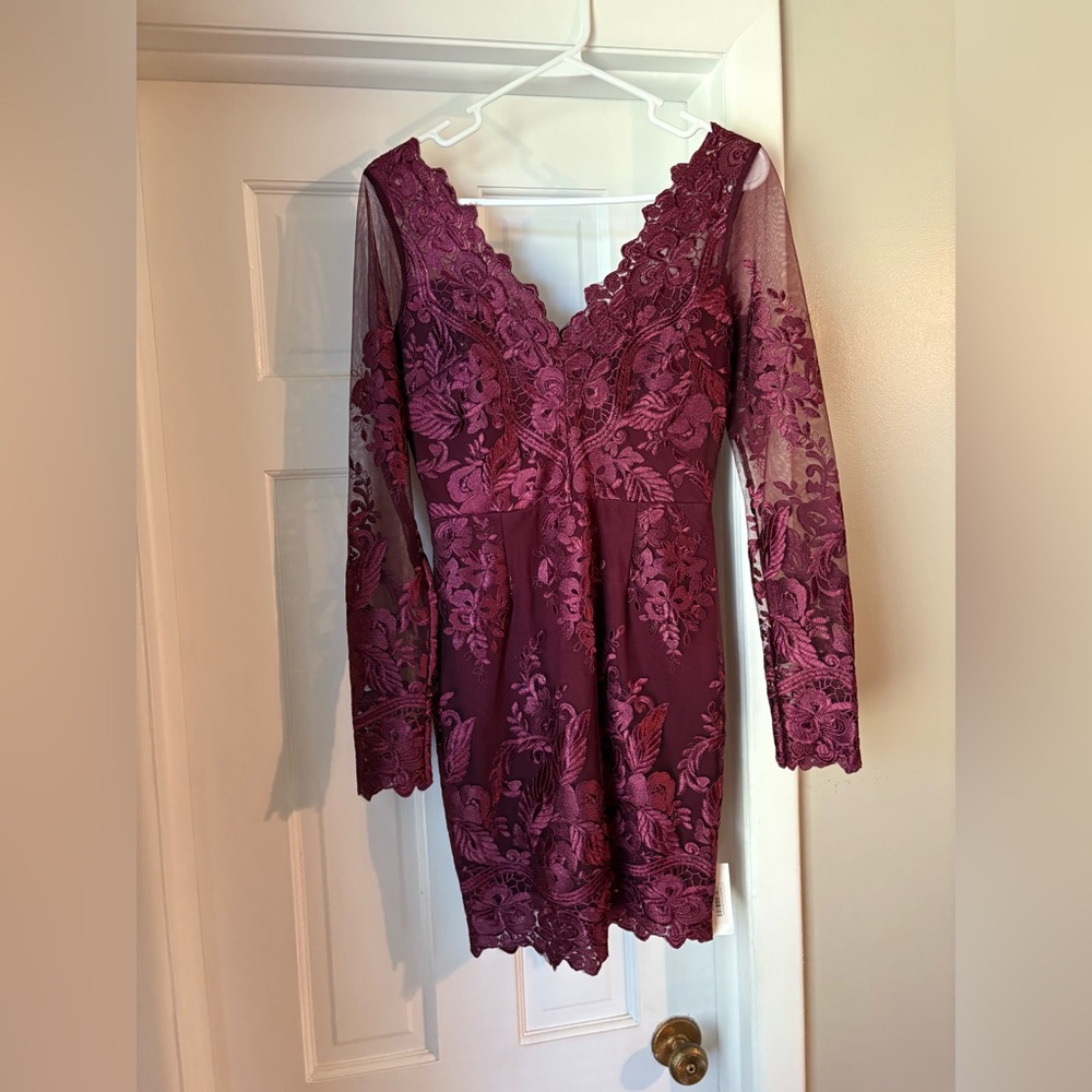Red Dress Boutique Lace Plum Dress